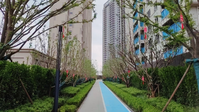 MEITU_20250427_114950252.jpg