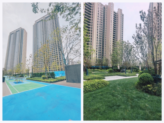 MEITU_20250427_115014290.jpg